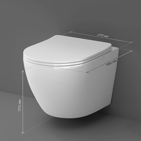 Унитаз подвесной AM.PM Like C801900SC торнадо безободковый с сиденьем микролифт, белый-9