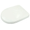 Сиденье (крышка) для унитаза AM.PM Gem C907851WP с микролифтом, дюропласт, белое