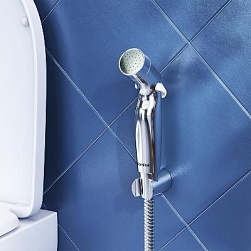 Лейка гигиенического душа Damixa Shower program 760550100 хром, держатель