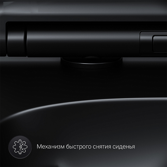 Унитаз подвесной AM.PM X-Joy S C85A1700MBSC безободковый с сиденьем микролифт, черный матовый-10